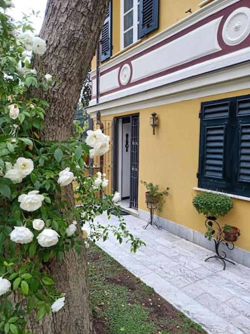 Casetta Jacaranda Genoa Exterior photo