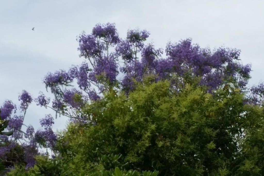 Casetta Jacaranda Genoa Exterior photo